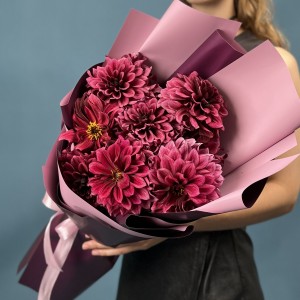 7 темно-фиолетовых георгин